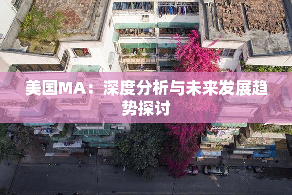 美国MA：深度分析与未来发展趋势探讨