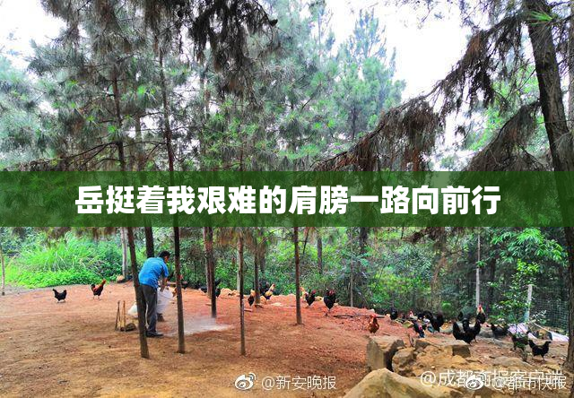 岳挺着我艰难的肩膀一路向前行