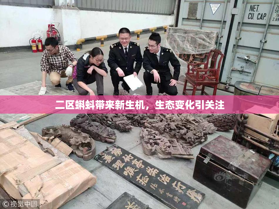 二区蝌蚪带来新生机，生态变化引关注