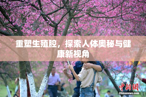 重塑生殖腔，探索人体奥秘与健康新视角