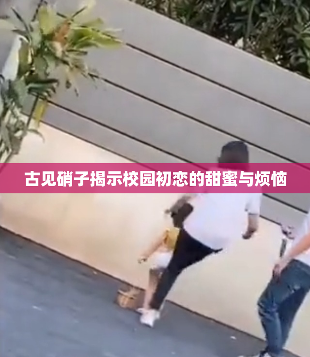 古见硝子揭示校园初恋的甜蜜与烦恼