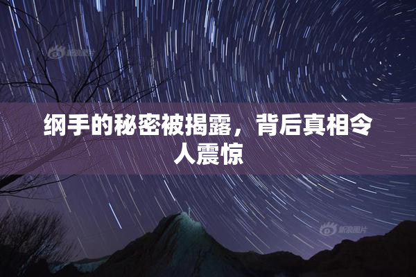 纲手的秘密被揭露，背后真相令人震惊