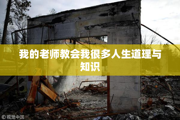 我的老师教会我很多人生道理与知识