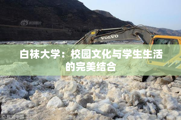 白袜大学：校园文化与学生生活的完美结合