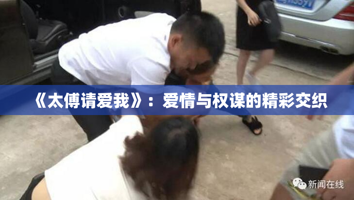 《太傅请爱我》：爱情与权谋的精彩交织