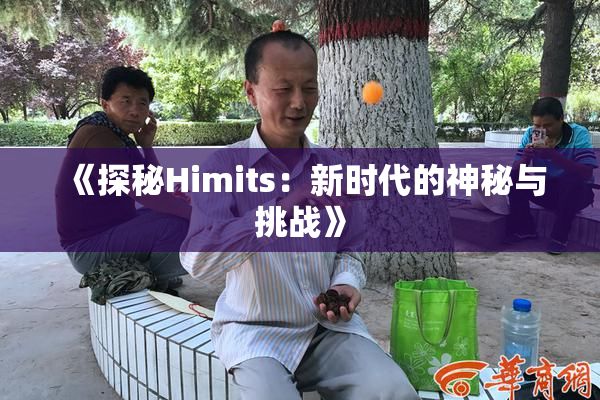 《探秘Himits：新时代的神秘与挑战》