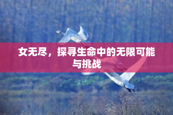 女无尽，探寻生命中的无限可能与挑战