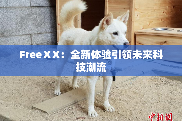 FreeⅩX：全新体验引领未来科技潮流