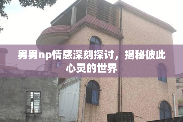 男男np情感深刻探讨，揭秘彼此心灵的世界