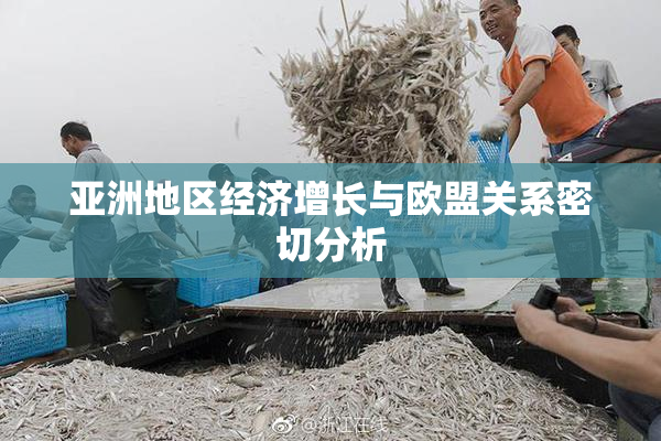 亚洲地区经济增长与欧盟关系密切分析
