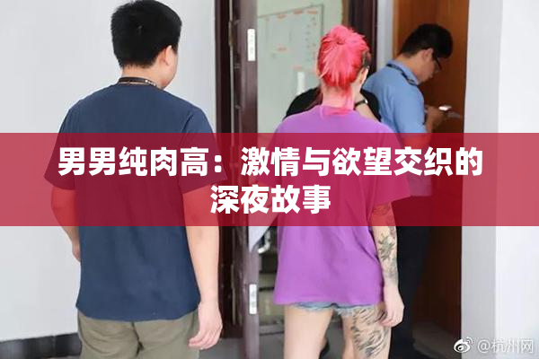 男男纯肉高：激情与欲望交织的深夜故事