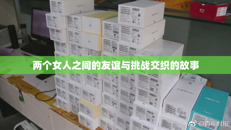 两个女人之间的友谊与挑战交织的故事