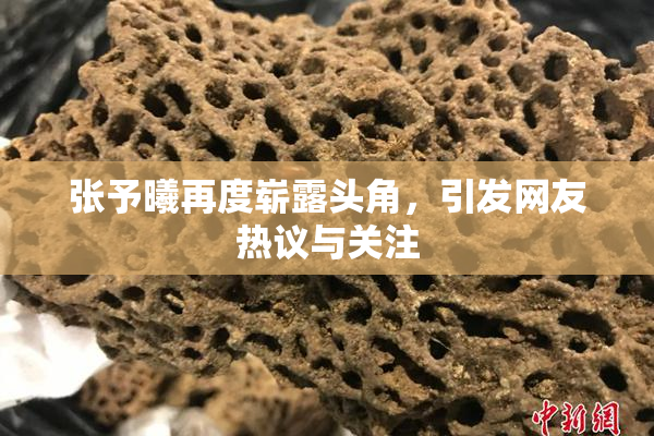 张予曦再度崭露头角，引发网友热议与关注