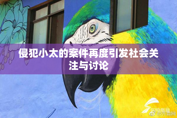 侵犯小太的案件再度引发社会关注与讨论
