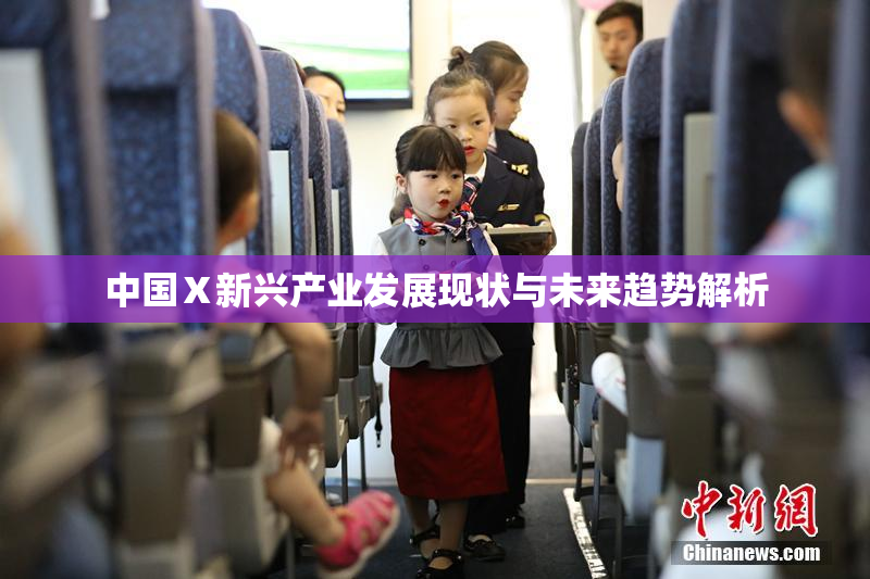 中国Ⅹ新兴产业发展现状与未来趋势解析