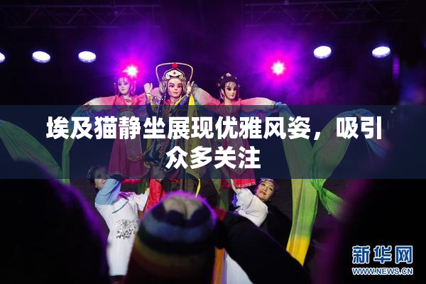 埃及猫静坐展现优雅风姿，吸引众多关注