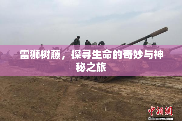 雷狮树藤，探寻生命的奇妙与神秘之旅