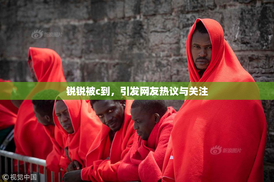 锐锐被c到，引发网友热议与关注