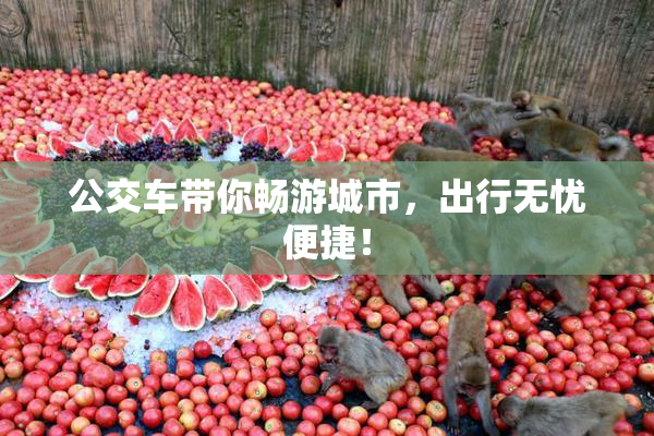 公交车带你畅游城市，出行无忧便捷！