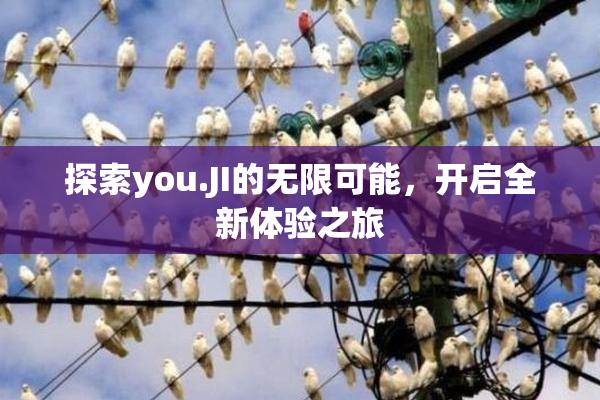 探索you.JI的无限可能，开启全新体验之旅