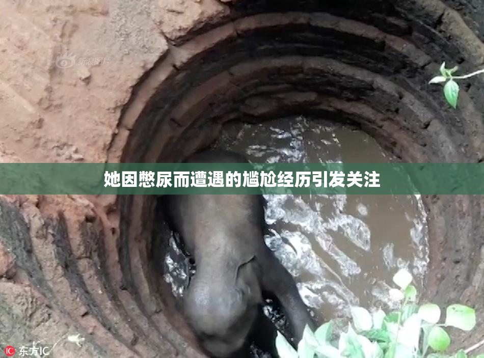 她因憋尿而遭遇的尴尬经历引发关注