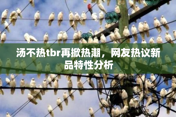 汤不热tbr再掀热潮，网友热议新品特性分析