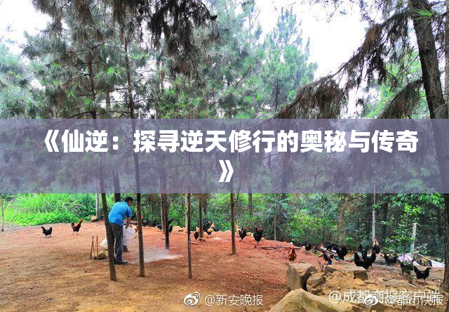 《仙逆：探寻逆天修行的奥秘与传奇》