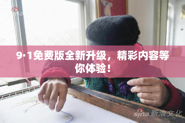 9·1免费版全新升级，精彩内容等你体验！