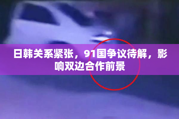 日韩关系紧张，91国争议待解，影响双边合作前景