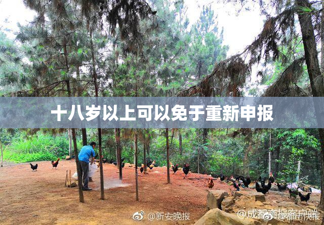 十八岁以上可以免于重新申报