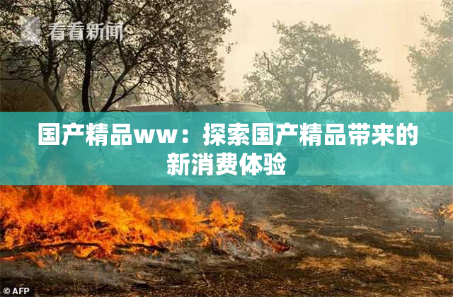 国产精品ww：探索国产精品带来的新消费体验