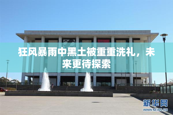 狂风暴雨中黑土被重重洗礼，未来更待探索