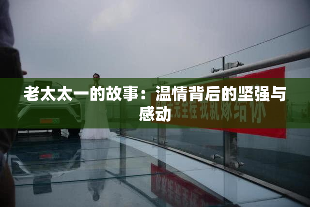 老太太一的故事：温情背后的坚强与感动
