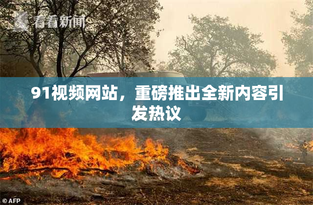 91视频网站，重磅推出全新内容引发热议
