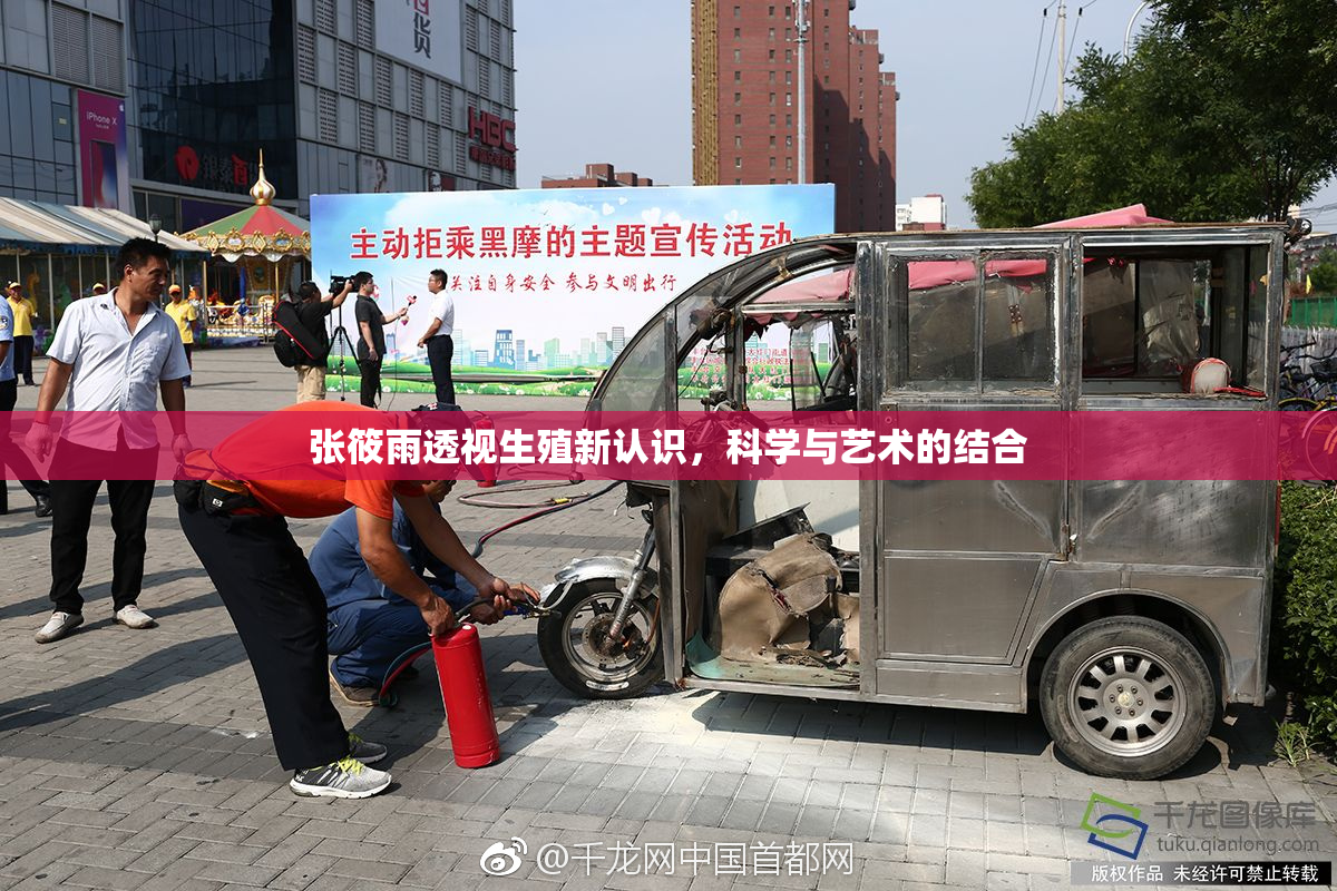 张筱雨透视生殖新认识，科学与艺术的结合