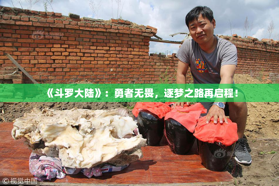 《斗罗大陆》：勇者无畏，逐梦之路再启程！