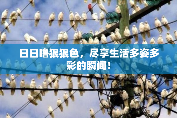 日日噜狠狠色，尽享生活多姿多彩的瞬间！