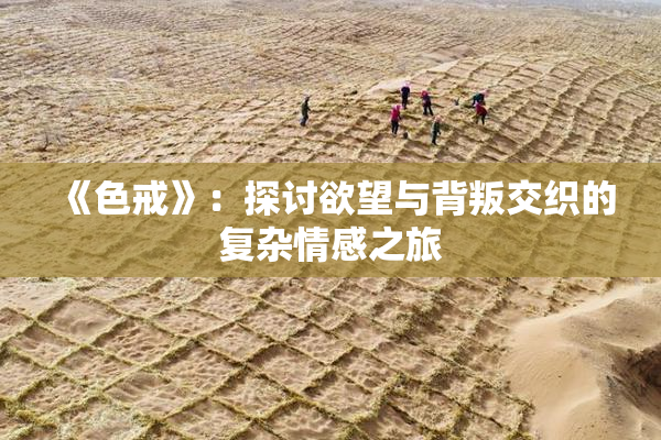 《色戒》：探讨欲望与背叛交织的复杂情感之旅