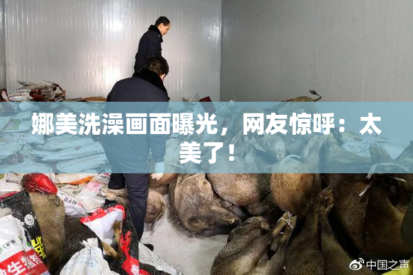 娜美洗澡画面曝光，网友惊呼：太美了！