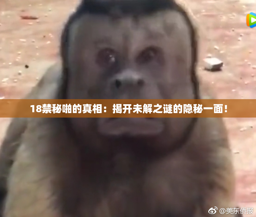 18禁秘啪的真相：揭开未解之谜的隐秘一面！