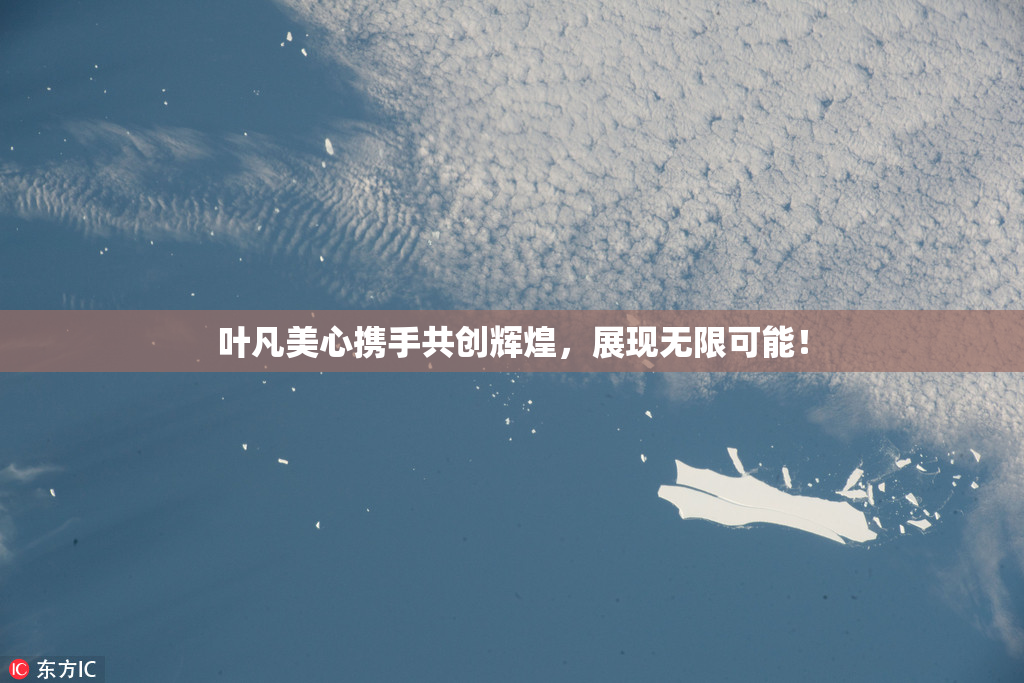 叶凡美心携手共创辉煌，展现无限可能！