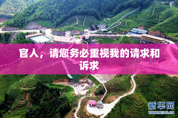 官人，请您务必重视我的请求和诉求