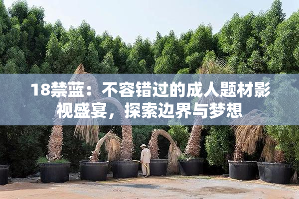 18禁蓝：不容错过的成人题材影视盛宴，探索边界与梦想