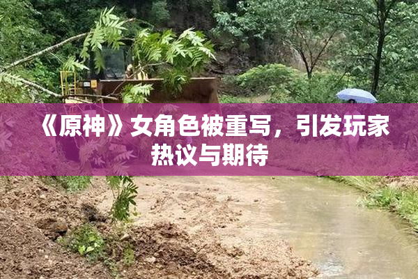 《原神》女角色被重写，引发玩家热议与期待