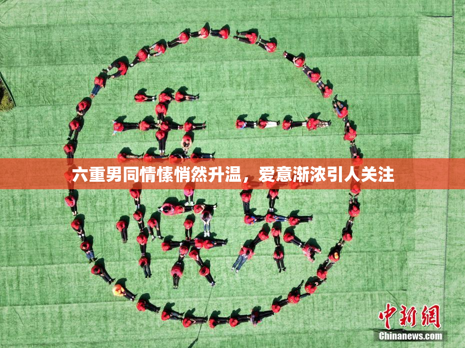六重男同情愫悄然升温，爱意渐浓引人关注