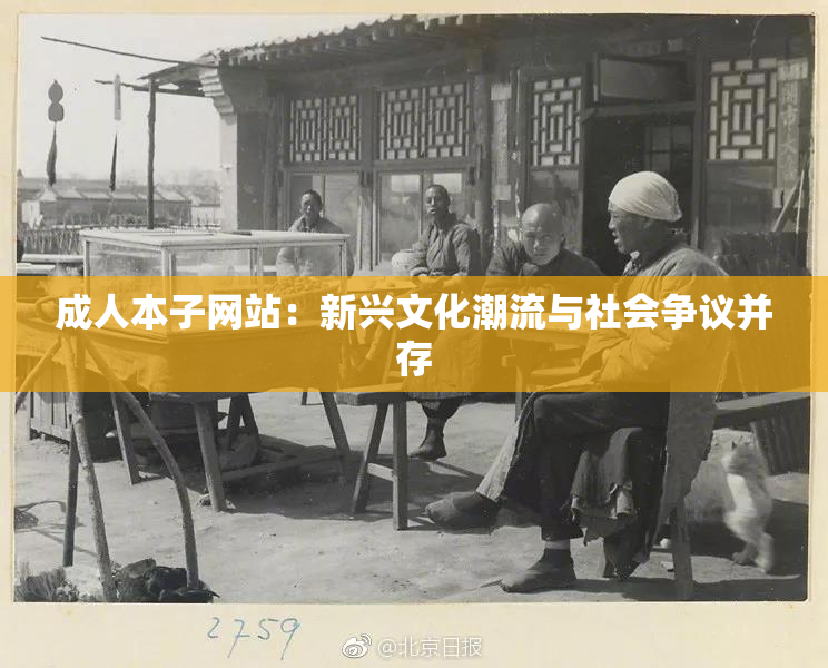 成人本子网站：新兴文化潮流与社会争议并存