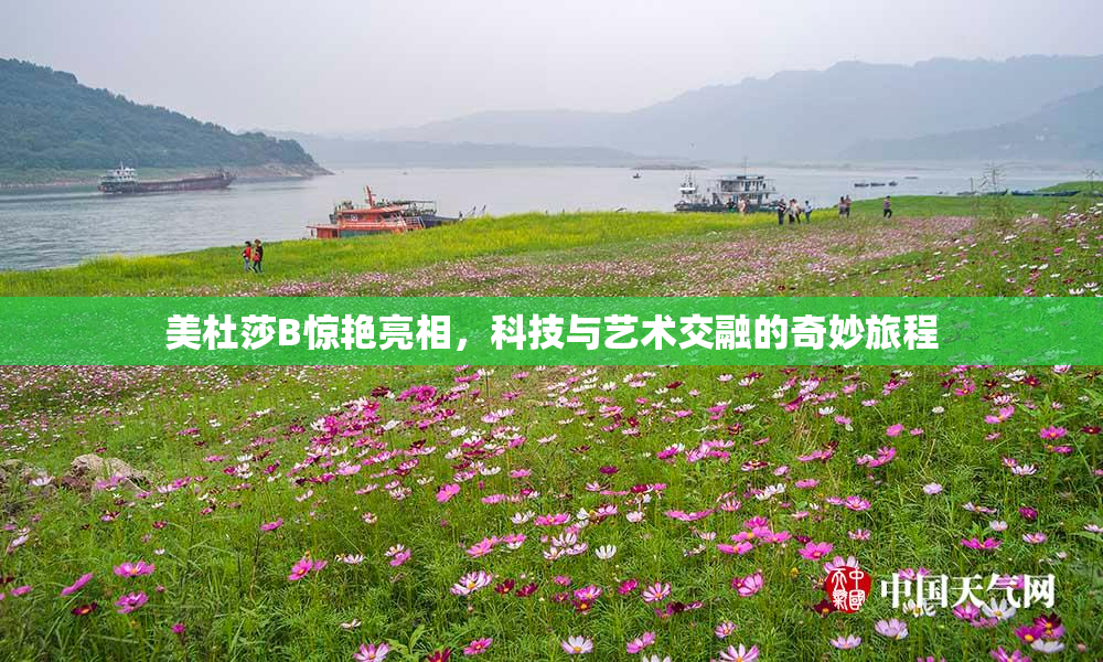 美杜莎B惊艳亮相，科技与艺术交融的奇妙旅程