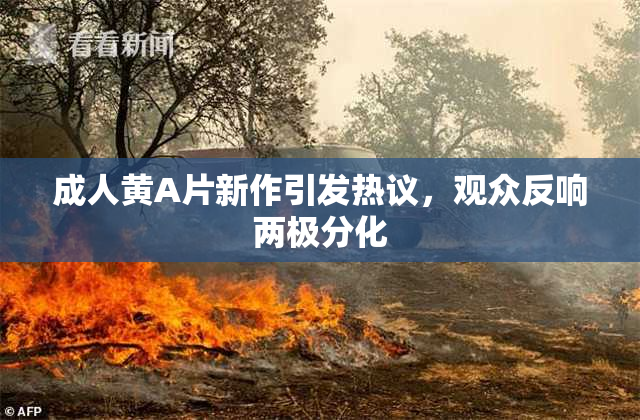 成人黄A片新作引发热议，观众反响两极分化