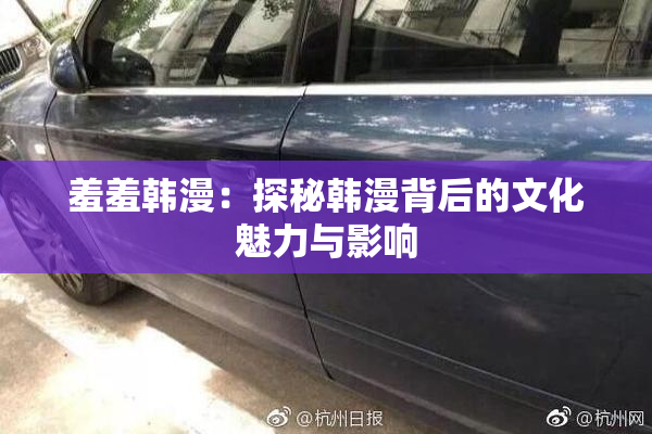 羞羞韩漫：探秘韩漫背后的文化魅力与影响