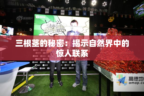 三根茎的秘密：揭示自然界中的惊人联系